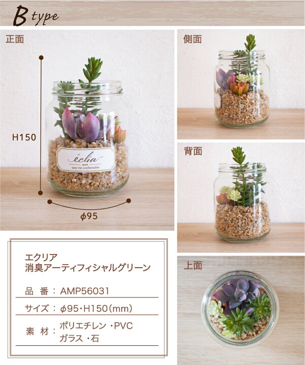 楽天市場 ポイント10倍 フェイクグリーン おしゃれ 寄せ植え サボテン コケ 多肉植物 リビング ダイニング 玄関 キッチン トイレ Ct触媒インテリア 雑貨 ナチュラル 造花 消臭 防汚 抗菌 癒し ガラス ギフト Eclia エクリア 消臭アーティフィシャルグリーン