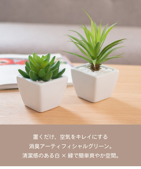 楽天市場 フェイクグリーン 人工観葉植物 造花 多肉植物 おしゃれ リビング ダイニング 玄関 キッチン トイレ ナチュラル 雑貨 グリーン 消臭 防汚 抗菌 寄せ植え Ct触媒 ギフト 母の日 Succulent Plants サキュレントプランツ おしゃれ照明のampoule 楽天市場 フェイクグリーン 人工観葉植物 造花 多肉植物 おしゃれ リビング ダイニング 玄関 キッチン トイレ ナチュラル 雑貨 グリーン 消臭 防汚 抗菌 寄せ植え Ct触媒 ギフト 母の日 Succulent Plants サキュレントプランツ おしゃれ照明のampoule