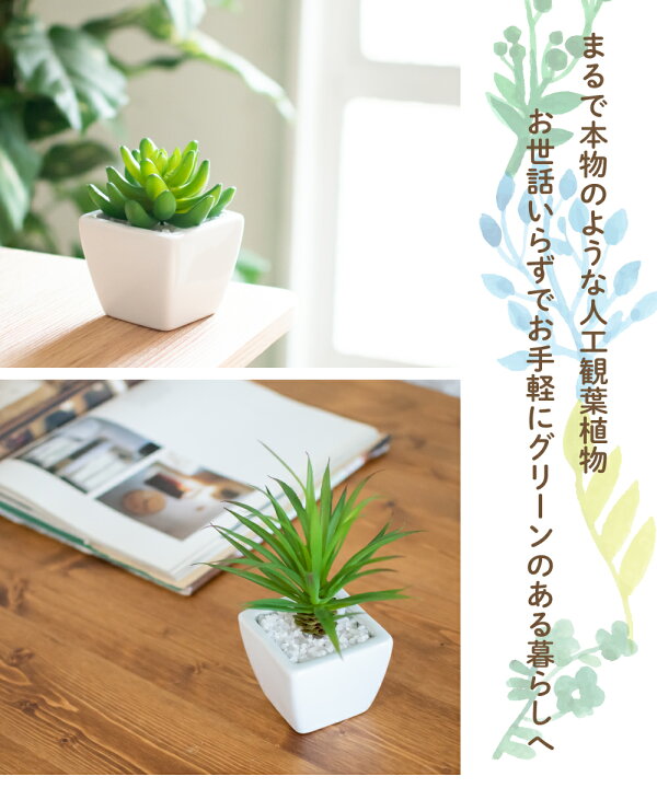 楽天市場 フェイクグリーン 人工観葉植物 造花 多肉植物 おしゃれ リビング ダイニング 玄関 キッチン トイレ ナチュラル 雑貨 グリーン 消臭 防汚 抗菌 寄せ植え Ct触媒 ギフト 母の日 Succulent Plants サキュレントプランツ おしゃれ照明のampoule