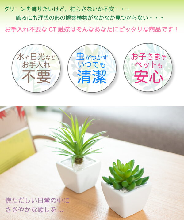楽天市場 フェイクグリーン 人工観葉植物 造花 多肉植物 おしゃれ リビング ダイニング 玄関 キッチン トイレ ナチュラル 雑貨 グリーン 消臭 防汚 抗菌 寄せ植え Ct触媒 ギフト 母の日 Succulent Plants サキュレントプランツ おしゃれ照明のampoule