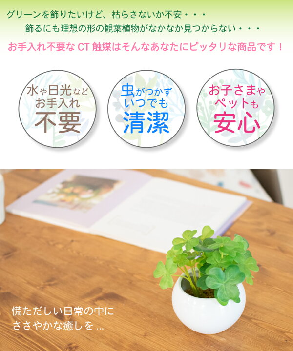 フェイクグリーン 観葉植物 フェイク 人工観葉植物 大型 光触媒 造花 インテリア リアル おしゃれ お祝い 消臭 抗菌 鉢 ユーカリ シルバーリーフ 1cm 3本立 室内 風水 リビング 玄関 人気 空気清浄 葉 葉っぱ 空気 植物 大きめ グリーン 日付指定 ギフト不可 No