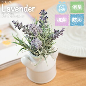 x_[ tFCNO[ lHϗtA  LA[eBtBVO[  Vr[VbN rO _CjO  Lb` gC i` G O[ L h