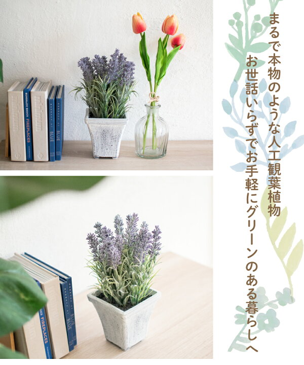 楽天市場 ラベンダー フェイクグリーン 人工観葉植物 造花 消臭アーティフィシャルグリーン おしゃれ シャビーシック リビング ダイニング 玄関 キッチン トイレ ナチュラル 雑貨 グリーン 消臭 防汚 抗菌 Ct触媒 ギフト 母の日 Lavender L おしゃれ照明のampoule