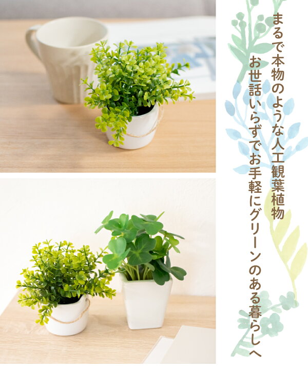 楽天市場 ポイント10倍 フェイクグリーン 人工観葉植物 造花 消臭アーティフィシャルグリーン おしゃれ リビング ダイニング 玄関 キッチン トイレ ナチュラル 雑貨 グリーン 消臭 防汚 抗菌 寄せ植え Ct触媒 ギフト 母の日 Mini Grass ミニグラス おしゃれ照明の 楽天市場 ポイント10倍 フェイクグリーン 人工観葉植物 造花 消臭アーティフィシャルグリーン おしゃれ リビング ダイニング 玄関 キッチン トイレ ナチュラル 雑貨 グリーン 消臭 防汚 抗菌 寄せ植え Ct触媒 ギフト 母の日 Mini Grass ミニグラス おしゃれ照明の
