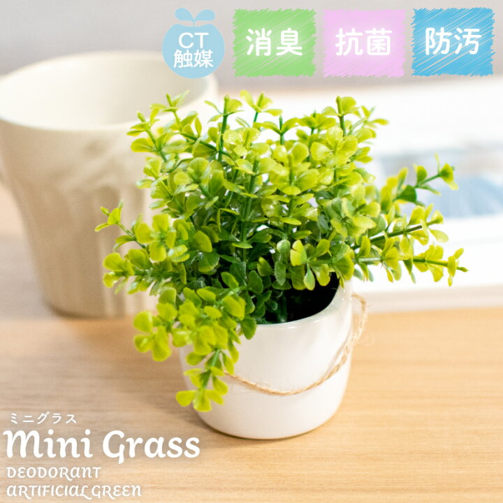 楽天市場 フェイクグリーン 人工観葉植物 造花 消臭アーティフィシャルグリーン おしゃれ リビング ダイニング 玄関 キッチン トイレ ナチュラル 雑貨 グリーン 消臭 防汚 抗菌 寄せ植え Ct触媒 ギフト 母の日 Mini Grass ミニグラス おしゃれ照明のampoule 楽天市場 フェイクグリーン 人工観葉植物 造花 消臭アーティフィシャルグリーン おしゃれ リビング ダイニング 玄関 キッチン トイレ ナチュラル 雑貨 グリーン 消臭 防汚 抗菌 寄せ植え Ct触媒 ギフト 母の日 Mini Grass ミニグラス おしゃれ照明のampoule