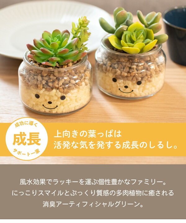 楽天市場 フェイクグリーン 多肉植物 サボテン 風水 人工観葉植物 造花 消臭アーティフィシャルグリーン おしゃれ リビング ダイニング 玄関 キッチン トイレ ナチュラル グリーン 消臭 防汚 抗菌 寄せ植え Ct触媒 ギフト 母の日 Famille ファミーユ L おしゃれ照明の