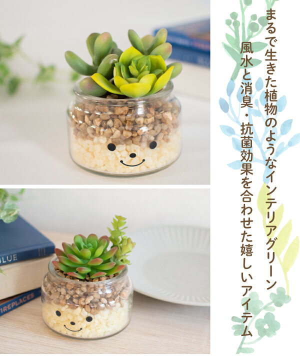 楽天市場 フェイクグリーン 多肉植物 サボテン 風水 人工観葉植物 造花 消臭アーティフィシャルグリーン おしゃれ リビング ダイニング 玄関 キッチン トイレ ナチュラル グリーン 消臭 防汚 抗菌 寄せ植え Ct触媒 ギフト 母の日 Famille ファミーユ L おしゃれ照明の