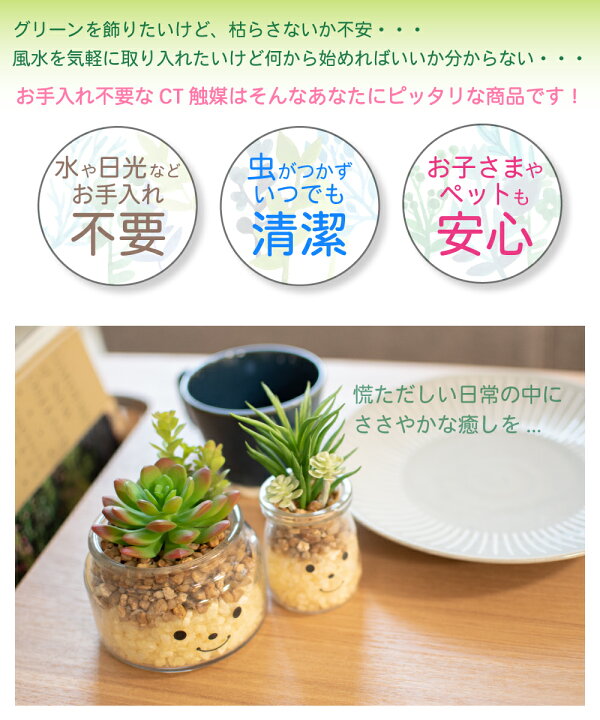 楽天市場 フェイクグリーン 多肉植物 サボテン 風水 人工観葉植物 造花 消臭アーティフィシャルグリーン おしゃれ リビング ダイニング 玄関 キッチン トイレ ナチュラル グリーン 消臭 防汚 抗菌 寄せ植え Ct触媒 ギフト 母の日 Famille ファミーユ L おしゃれ照明の