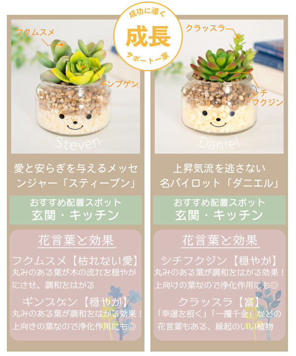 楽天市場 フェイクグリーン 多肉植物 サボテン 風水 人工観葉植物 造花 消臭アーティフィシャルグリーン おしゃれ リビング ダイニング 玄関 キッチン トイレ ナチュラル グリーン 消臭 防汚 抗菌 寄せ植え Ct触媒 ギフト 母の日 Famille ファミーユ L おしゃれ照明の