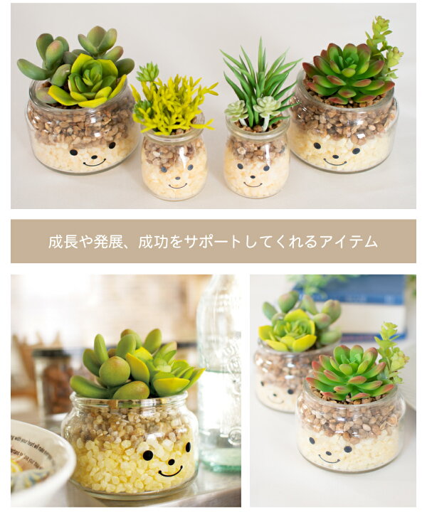 楽天市場 フェイクグリーン 多肉植物 サボテン 風水 人工観葉植物 造花 消臭アーティフィシャルグリーン おしゃれ リビング ダイニング 玄関 キッチン トイレ ナチュラル グリーン 消臭 防汚 抗菌 寄せ植え Ct触媒 ギフト 母の日 Famille ファミーユ L おしゃれ照明の