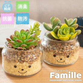 フェイクグリーン 多肉植物 サボテン 風水 人工観葉植物 造花 消臭アーティフィシャルグリーン おしゃれ リビング ダイニング 玄関 キッチン トイレ ナチュラル グリーン 消臭 防汚 抗菌 寄せ植え CT触媒 ギフト 母の日 Famille ファミーユ L