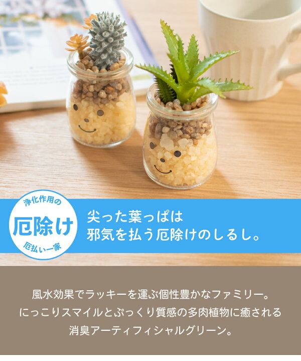 楽天市場 フェイクグリーン 多肉植物 サボテン 風水 人工観葉植物 造花 消臭アーティフィシャルグリーン おしゃれ 厄除け リビング ダイニング 玄関 キッチン トイレ ナチュラル 消臭 抗菌 寄せ植え Ct触媒 ギフト 母の日 Famille ファミーユ S おしゃれ照明のampoule