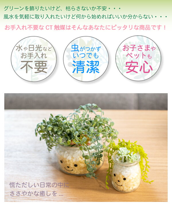 楽天市場 フェイクグリーン 多肉植物 サボテン 風水 人工観葉植物 造花 消臭アーティフィシャルグリーン おしゃれ 安らぎ リビング ダイニング 玄関 キッチン トイレ ナチュラル 消臭 抗菌 寄せ植え Ct触媒 ギフト 母の日 Famille ファミーユ S おしゃれ照明のampoule