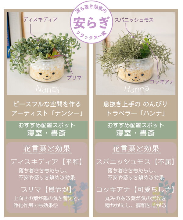楽天市場 本日限定 P5倍 フェイクグリーン 多肉植物 サボテン 風水 人工観葉植物 造花 消臭アーティフィシャルグリーン おしゃれ 安らぎ リビング ダイニング 玄関 キッチン トイレ ナチュラル 消臭 防汚 抗菌 寄せ植え Ct触媒 ギフト 母の日 Famille ファミーユ L