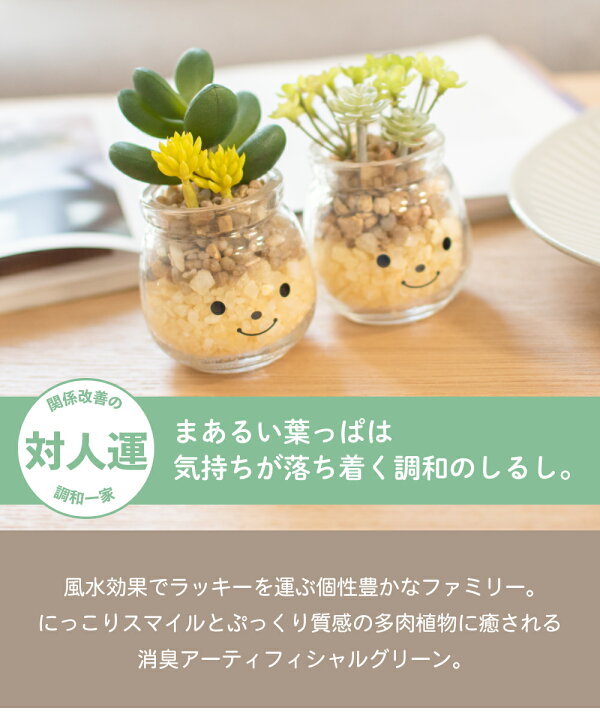 フェイクグリーン 多肉植物 サボテン 風水 人工観葉植物 造花 消臭アーティフィシャルグリーン おしゃれ 玄関 キッチン Ct触媒 ギフト Famille ファミーユ L 最大92 Offクーポン フェイクグリーン 多肉植物 サボテン 風水 人工観葉植物 造花 消臭アーティフィシャルグリーン おしゃれ 玄関 キッチン Ct触媒 ギフト Famille ファミーユ L 最大92 Offクーポン