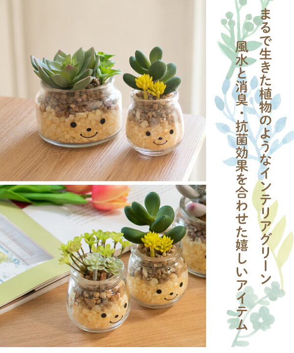 楽天市場 フェイクグリーン 多肉植物 サボテン 風水 人工観葉植物 造花 消臭アーティフィシャルグリーン おしゃれ 対人運 リビング ダイニング 玄関 キッチン トイレ ナチュラル 消臭 抗菌 寄せ植え Ct触媒 ギフト 母の日 Famille ファミーユ S おしゃれ照明のampoule 楽天市場 フェイクグリーン 多肉植物 サボテン 風水 人工観葉植物 造花 消臭アーティフィシャルグリーン おしゃれ 対人運 リビング ダイニング 玄関 キッチン トイレ ナチュラル 消臭 抗菌 寄せ植え Ct触媒 ギフト 母の日 Famille ファミーユ S おしゃれ照明のampoule