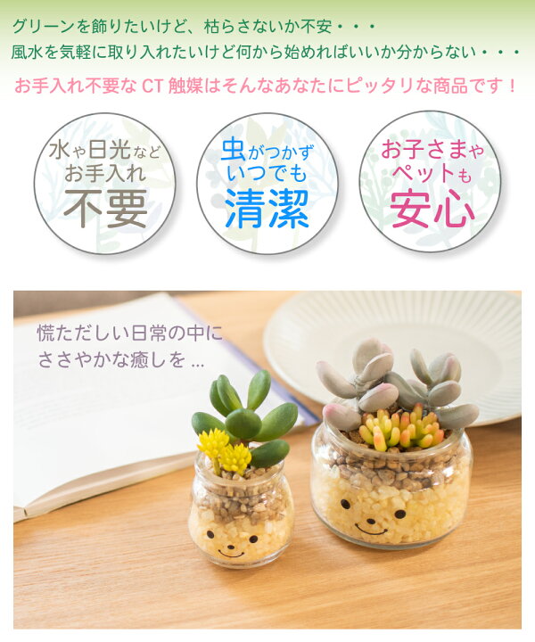 楽天市場 フェイクグリーン 多肉植物 サボテン 風水 人工観葉植物 造花 消臭アーティフィシャルグリーン おしゃれ 対人運 リビング ダイニング 玄関 キッチン トイレ ナチュラル 消臭 抗菌 寄せ植え Ct触媒 ギフト 母の日 Famille ファミーユ S おしゃれ照明のampoule