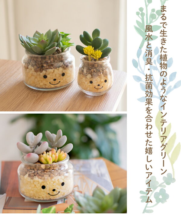 楽天市場 フェイクグリーン 多肉植物 サボテン 風水 人工観葉植物 造花 消臭アーティフィシャルグリーン おしゃれ 対人運 リビング ダイニング 玄関 キッチン トイレ ナチュラル 消臭 防汚 抗菌 寄せ植え Ct触媒 ギフト 母の日 Famille ファミーユ L おしゃれ照明のampoule