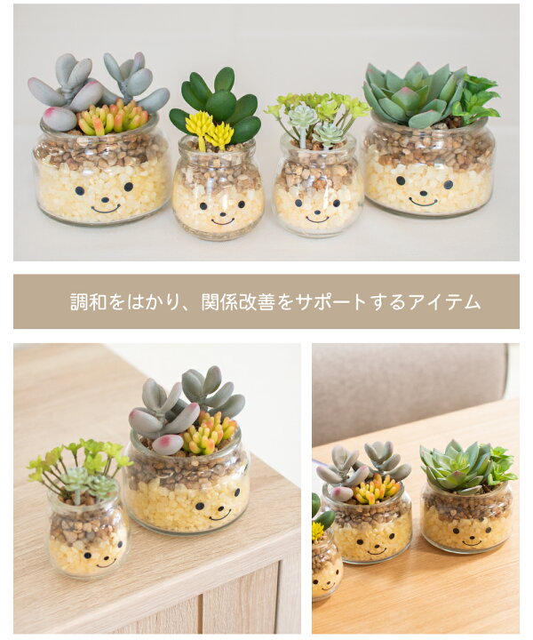 限定タイムセール フェイクグリーン 多肉植物 サボテン 風水 人工観葉植物 造花 消臭アーティフィシャルグリーン おしゃれ 玄関 キッチン Ct触媒 ギフト Famille ファミーユ L 限定タイムセール フェイクグリーン 多肉植物 サボテン 風水 人工観葉植物 造花 消臭アーティフィシャルグリーン おしゃれ 玄関 キッチン Ct触媒 ギフト Famille ファミーユ L