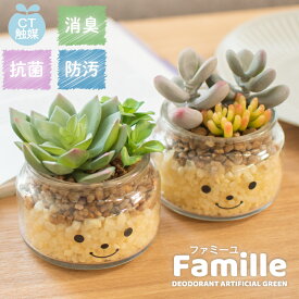 楽天市場 多肉植物 ギフトの通販