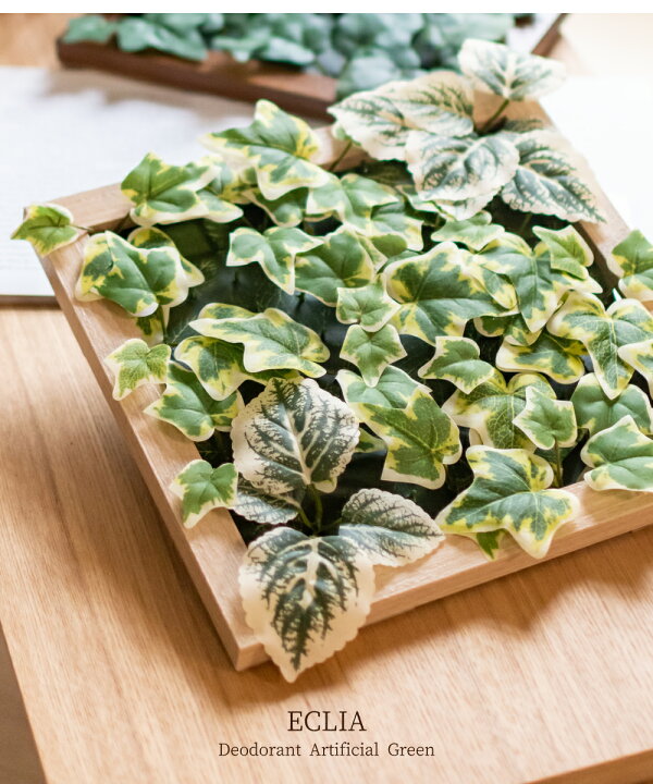 楽天市場 フェイクグリーン 壁掛け 観葉植物 フェイク おしゃれ 人工観葉植物 ウォールグリーン リビング 壁 インテリア ナチュラル 造花 消臭 抗菌 Ct触媒 フレーム 壁面緑化 グリーン Eclia エクリア 消臭アーティフィシャルグリーン フレームタイプ おしゃれ照明の 楽天市場 フェイクグリーン 壁掛け 観葉植物 フェイク おしゃれ 人工観葉植物 ウォールグリーン リビング 壁 インテリア ナチュラル 造花 消臭 抗菌 Ct触媒 フレーム 壁面緑化 グリーン Eclia エクリア 消臭アーティフィシャルグリーン フレームタイプ おしゃれ照明の