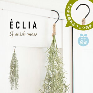 tFCNO[ Ǌ| nMO K[h XbO  CeA  ϗtA nMOO[ XpjbVX tFCN tbN L R gC  rO G 