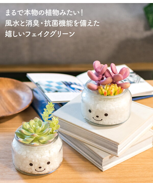 楽天市場 フェイクグリーン 多肉植物 寄せ植え 風水 人工観葉植物 造花 おしゃれ 縁起 調和 リビング ダイニング 玄関 キッチン オフィス トイレ ナチュラル 消臭 防汚 抗菌 Ct触媒 サボテン ギフト プレゼント 母の日 Famille ファミーユ Lサイズ おしゃれ照明のampoule