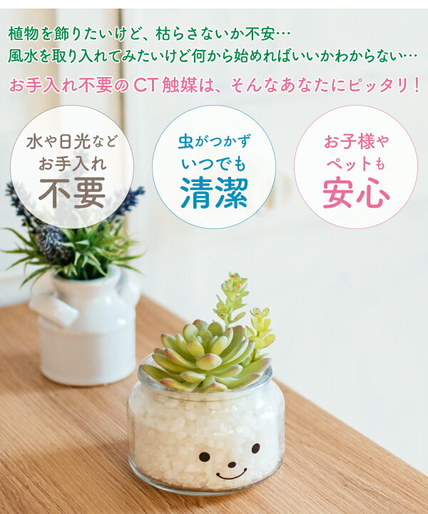 楽天市場 フェイクグリーン 多肉植物 寄せ植え 風水 人工観葉植物 造花 おしゃれ 縁起 調和 リビング ダイニング 玄関 キッチン オフィス トイレ ナチュラル 消臭 防汚 抗菌 Ct触媒 サボテン ギフト プレゼント 母の日 Famille ファミーユ Lサイズ おしゃれ照明のampoule