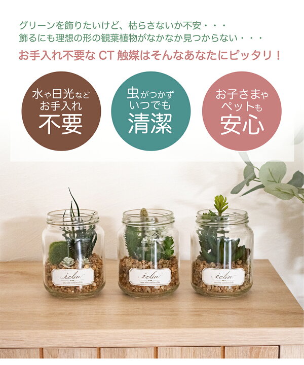 楽天市場 フェイクグリーン おしゃれ 寄せ植え サボテン コケ 多肉植物 リビング ダイニング 玄関 キッチン トイレ Ct触媒インテリア 雑貨 ナチュラル ギフト 造花 消臭 防汚 抗菌 癒し ガラス ギフト Eclia エクリア 消臭アーティフィシャルグリーン おしゃれ照明の