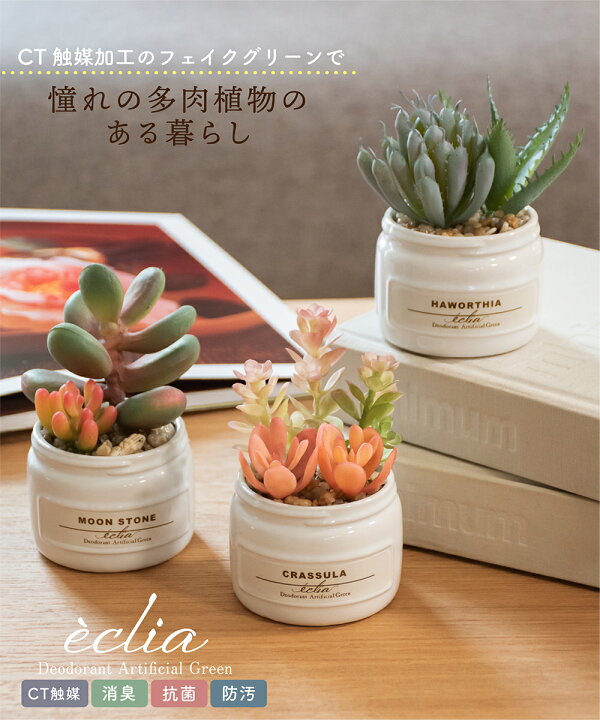 楽天市場 フェイクグリーン 多肉植物 寄せ植え 人工観葉植物 造花 おしゃれ かわいい リビング ダイニング キッチン 玄関 寝室 トイレ ナチュラル 消臭 防汚 抗菌 Ct触媒 インテリア 雑貨 ギフト プレゼント 母の日 エクリア おしゃれ照明のampoule