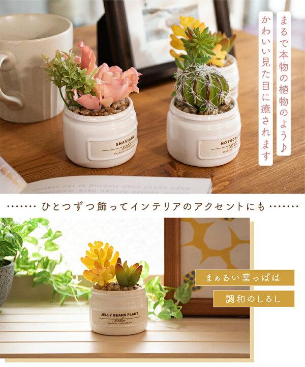 中古 フェイクグリーン 人工観葉植物 卓上サイズ 寄植え 高さ約37cm 小さめ