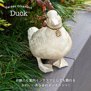 K[fjOG K[fjO I[ig  u R[_bN Ђ AeB[N i`  Aj} K[f G A IuWF 킢 CeA zCg  