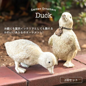 K[fjOG K[fjO I[ig  u ~j R[_bN Ђ AeB[N i`  Aj} K[f G A IuWF 킢 CeA zC