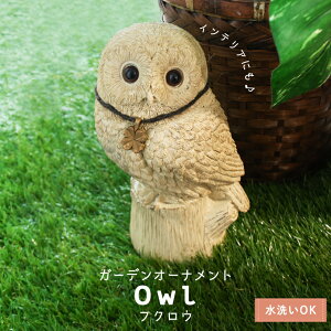 K[fjO I[ig tNE ObY u IuWF  O  ӂ낤  k AeB[N i` A  Aj} K[f G 킢 CeA zCg 