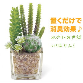 フェイクグリーン CT触媒 多肉植物 観葉植物 グリーン サボテン 造花 抗菌 防汚 消臭 プレゼント ギフト 消臭アーティフィシャルグリーン サキュレントリフレリウム