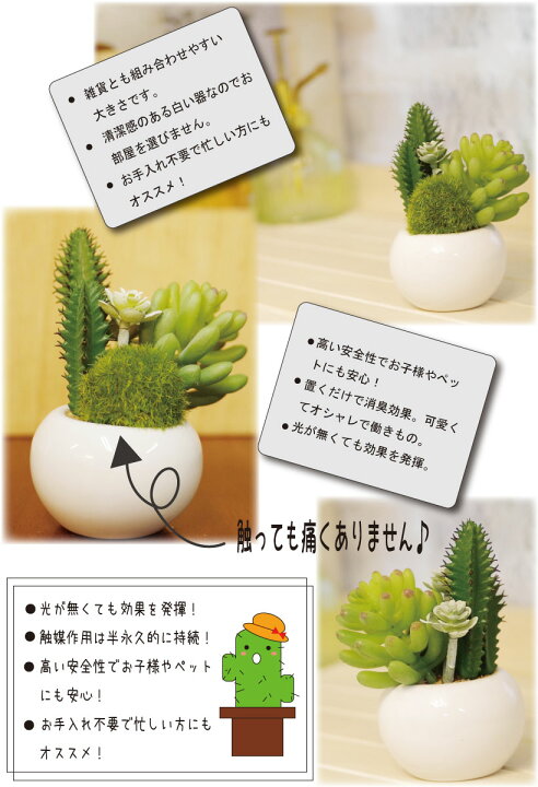 楽天市場 フェイクグリーン おしゃれ 多肉植物 サボテン 造花 抗菌 防汚 消臭 Ct触媒 消臭アーティフィシャルグリーン 磁器 インテリア雑貨 リビング ダイニング 玄関 トイレ ギフト プレゼント ラッピング無料 サキュレントリフレリウム キシマ おしゃれ照明のampoule
