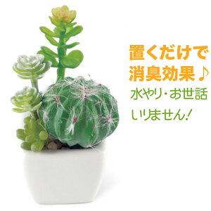 tFCNO[  A ~j  O[ T{e R rO  gC CTG} TLgtE LA[eBtBVO[  CeA G 