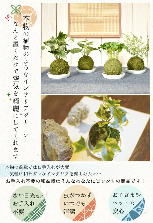 楽天市場 フェイクグリーン 苔玉 消臭 アーティフィシャルグリーン 造花 和盆栽 おしゃれ リビング ダイニング インテリア 和雑貨 玄関 キッチン トイレ ナチュラル モダン ギフト 防汚 抗菌 癒し 陶器 コケ 植物 Wa Bonsai 敬老の日ギフト Ct触媒 キシマ おしゃれ照明