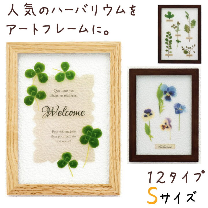 楽天市場 アートパネル おしゃれ リビング ダイニング インテリア 雑貨 玄関 キッチン トイレ ナチュラル モダン ギフト 葉 緑 グリーン 造花 癒し ガラス フレーム ナチュラル 植物 ブラウン Herbbarium ハーバリウム アートフレーム Sサイズ おしゃれ照明のampoule 楽天市場 アートパネル おしゃれ リビング ダイニング インテリア 雑貨 玄関 キッチン トイレ ナチュラル モダン ギフト 葉 緑 グリーン 造花 癒し ガラス フレーム ナチュラル 植物 ブラウン Herbbarium ハーバリウム アートフレーム Sサイズ おしゃれ照明のampoule