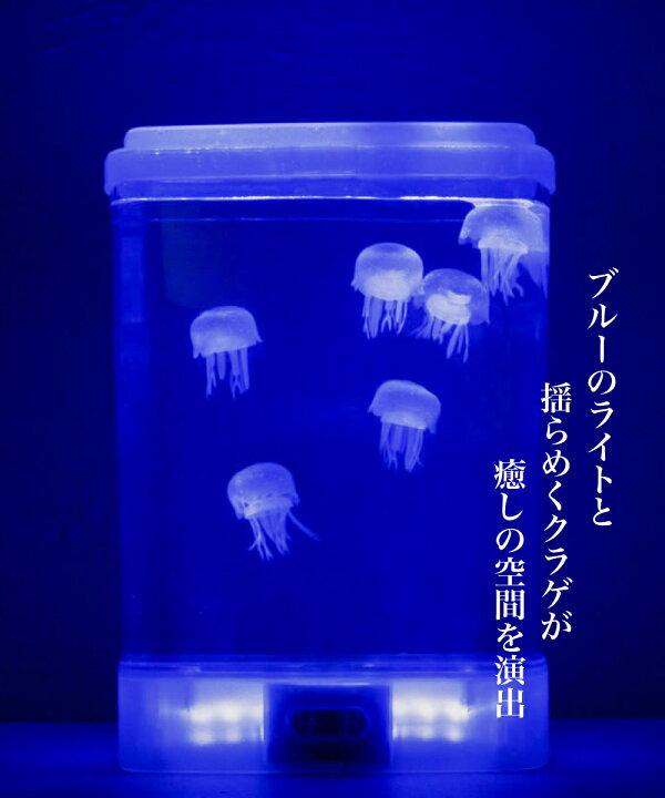 楽天市場 アクアリウム ミニアクアリウム 水槽 Led クラゲ 癒しグッズ リラクゼーション ギフト プレゼント インテリア Ig おしゃれ照明のampoule