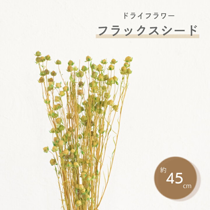楽天市場 ドライフラワー スワッグ レジン 花材 フラックス リンフラワー 亜麻 ガーランド 黄色 緑 イエロー グリーン 天然 ハンドメイド インテリア 花束 雑貨 自然素材 おしゃれ 花 ナチュラル アレンジ 飾り An おしゃれ照明のampoule