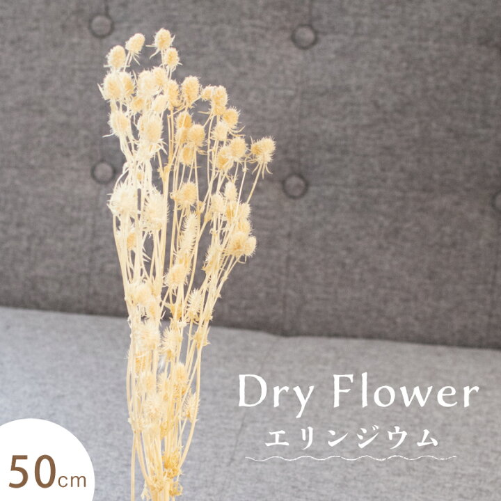 楽天市場 ポイント5倍 ドライフラワー スワッグ ブーケ 手作り 花材 エリンジウム ガーランド 天然 ハンドメイド 白 ホワイト インテリア 花束 雑貨 自然素材 おしゃれ 花 ナチュラル アレンジ 飾り 簡単 ギフト プレゼント An おしゃれ照明のampoule