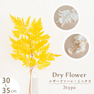 レザー フラワーの人気商品 通販 価格比較 価格 Com