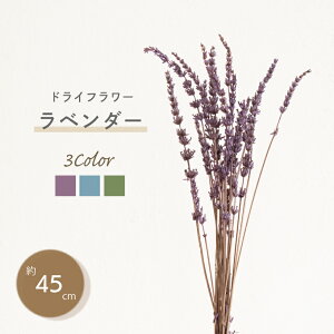 花束 青 プリザーブドフラワーの人気商品 通販 価格比較 価格 Com