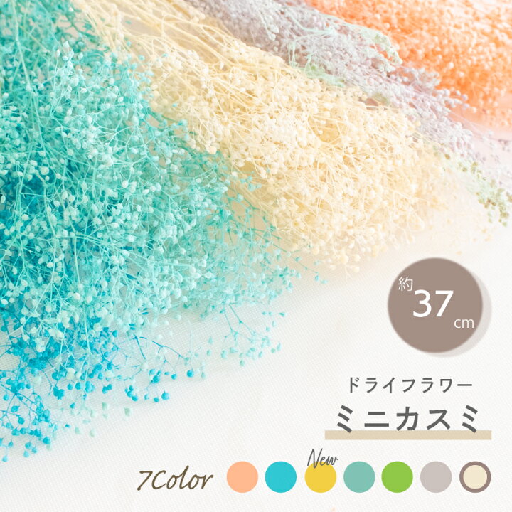 楽天市場 ドライフラワー スワッグ レジン 花材 かすみ草 カスミソウ ガーランド ピンク 白 イエロー 黄色 青 水色 緑 黄緑 紫 ホワイト ブルー パステル 天然 ハンドメイド インテリア 花束 雑貨 自然素材 おしゃれ 花 ナチュラル アレンジ 飾り An 楽天市場 ドライフラワー スワッグ レジン 花材 かすみ草 カスミソウ ガーランド ピンク 白 イエロー 黄色 青 水色 緑 黄緑 紫 ホワイト ブルー パステル 天然 ハンドメイド インテリア 花束 雑貨 自然素材 おしゃれ 花 ナチュラル アレンジ 飾り An