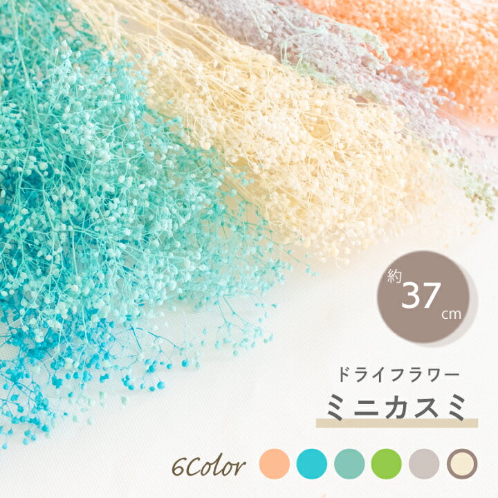 楽天市場 ドライフラワー スワッグ レジン 花材 かすみ草 カスミソウ ガーランド ピンク 白 青 水色 緑 黄緑 紫 ホワイト ブルー パステル 天然 ハンドメイド インテリア 花束 雑貨 自然素材 おしゃれ 花 ナチュラル アレンジ 飾り An おしゃれ照明のampoule 楽天市場 ドライフラワー スワッグ レジン 花材 かすみ草 カスミソウ ガーランド ピンク 白 青 水色 緑 黄緑 紫 ホワイト ブルー パステル 天然 ハンドメイド インテリア 花束 雑貨 自然素材 おしゃれ 花 ナチュラル アレンジ 飾り An おしゃれ照明のampoule