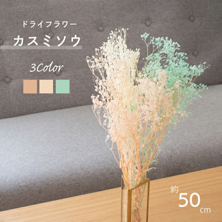 楽天市場 ドライフラワー 花材 スワッグ かすみ草 カスミソウ ピンク ホワイト ベージュ ブルー グリーン 白 青 緑 ブーケ 天然 インテリア 花束 雑貨 自然素材 おしゃれ 花 ナチュラル アレンジ 飾り 50cm An010 おしゃれ照明のampoule
