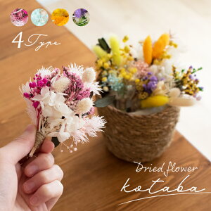プリザーブドフラワー かわいいの人気商品 通販 価格比較 価格 Com