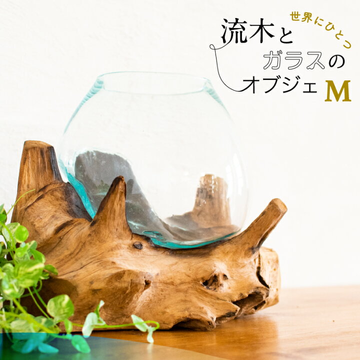 楽天市場 大特価sale オブジェ 置物 流木ガラス 流木 ガラス 器 北欧 モダン おしゃれ インテリア テラリウム アクアリウム 金魚鉢 観葉植物 ディスプレイ 西海岸 アジアン 選べる フラワーベース プランター ギフト プレゼント おしゃれ照明のampoule