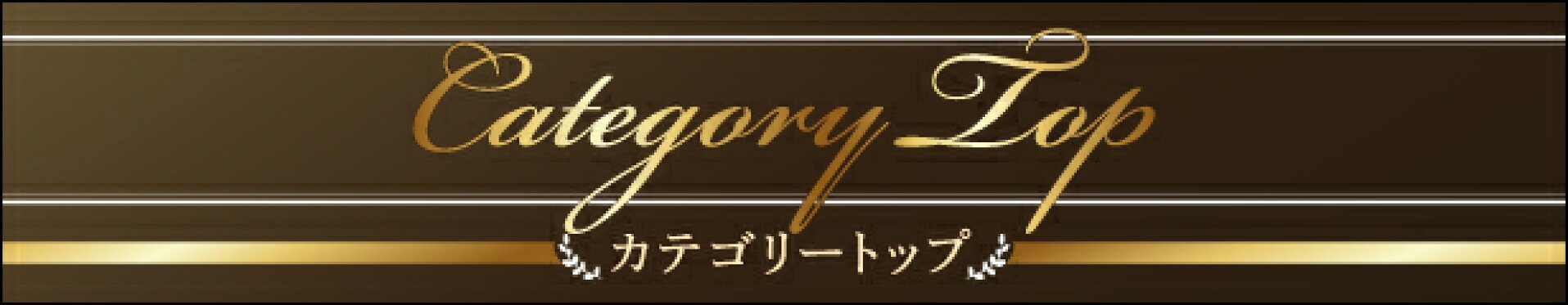 カテゴリートップ